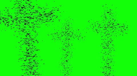 A flock of flying birds forms the grave crosses, green screen. Video stock 56351226