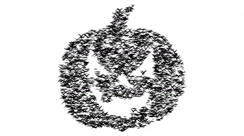 A flock of flying birds forms pumpkin. Jack-o'-lantern formed by birds. Stock Footage 68412067
