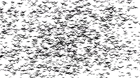 A flock of flying birds forms RIP. Rest In Peace formed by birds. Stock Footage 68341985