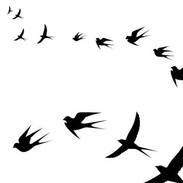 A flock of flying birds Stock Illustration