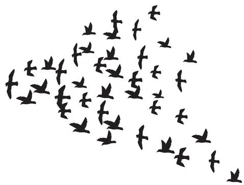 A flock of flying birds Stock Illustration