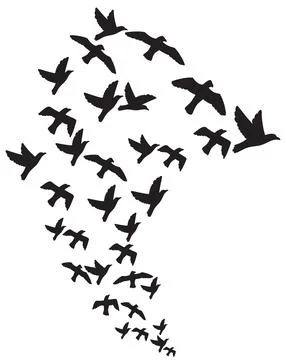 A flock of flying birds Stock Illustration