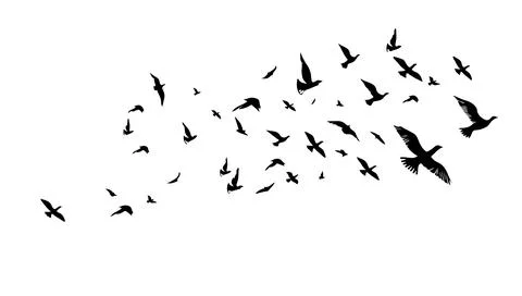 A flock of flying birds. Vector black and white illustration. Silhouette gr.. Stock Illustration
