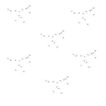 A flock of flying birds on a white background. Vector illustration. Stock Photos