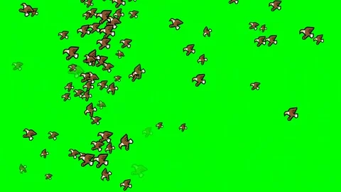 Flock Flying on Chroma Key for Compositing Vídeos de archivo 337397835