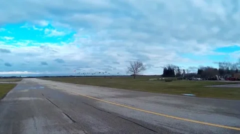 Flock of Geese Take off Stock Footage 56773543