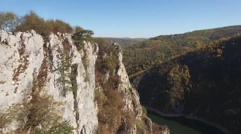 Flock of  griffon vultures Stock Footage 68383500