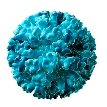 Flock House virus; artwork Stock Illustration
