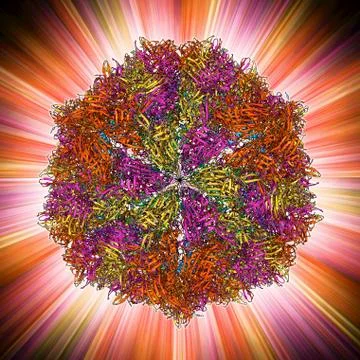 Flock house virus capsid Stock Illustration