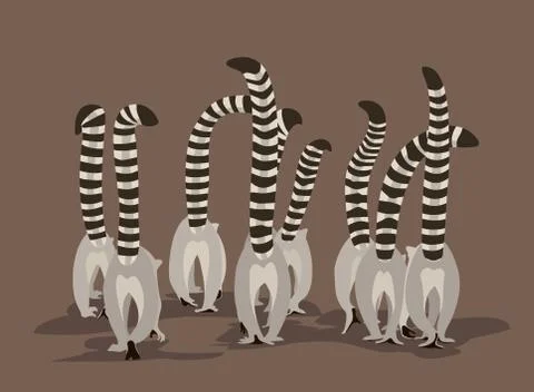 A flock of lemurs Illustrazione stock
