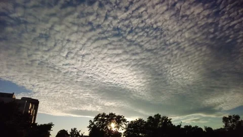 A flock of little clouds floating over treetops and a building Stock Footage 273740330