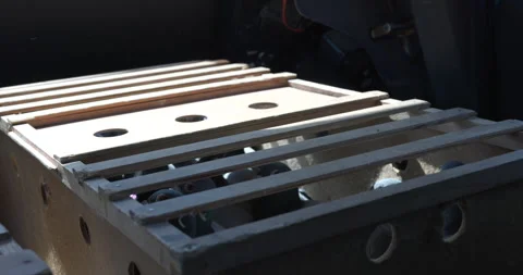 Flock of many different pigeons in a cage are being transported by a vehicle Stock Footage 241106632