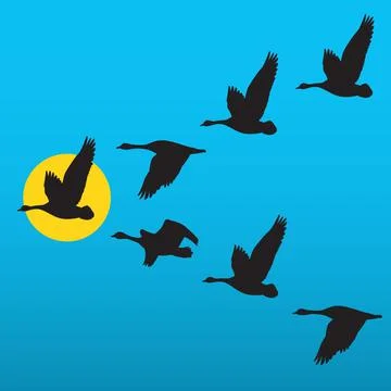 Flock of migrating geese flying in V formation. Stock Illustration