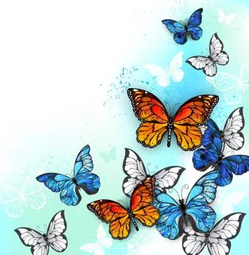 Flock of multicolor butterflies Stock Illustration