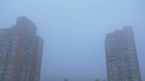 Flock o crows birds on the sky in the city town,wide shoot establishment Stock Footage 142995363