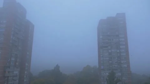 Flock o crows birds on the sky in the city town,wide shoot establishment Stock Footage 142995536