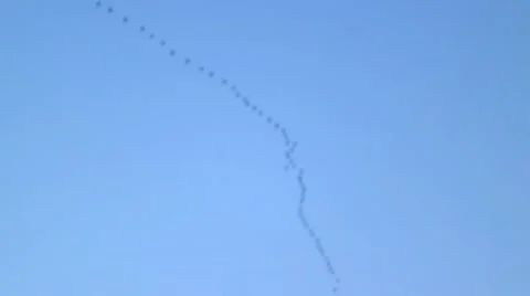 Flock of pigeons birds fly over,migratory birds Vídeos de archivo 59348979