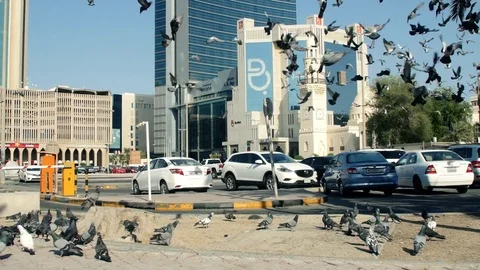 Flock of Pigeons in a central Square in Manama, Bahrain Video stock 73655282