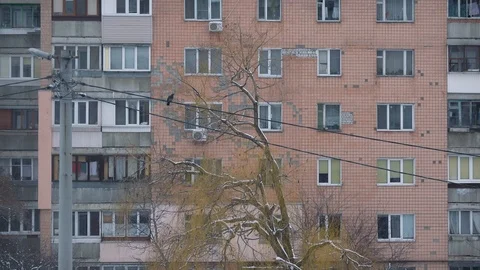 Flock of pigeons come down to electric wires Stock Footage 87900833