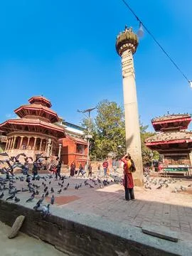 A flock of pigeons in Durbar Square. Photos