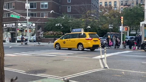 Flock of pigeons in flight dodges taxi-cab traffic on the streets of Manhattan Stock Footage 166324745