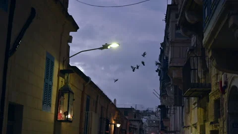 Flock of pigeons flutters between one balcony and another in the downtown Vídeo Stock 225640810