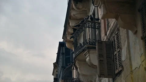 Flock of pigeons flutters between one balcony and another in downtown Stock Footage 225644397