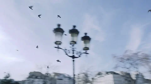 Flock of pigeons fly in front of Notre Dame Stock Footage 49360918