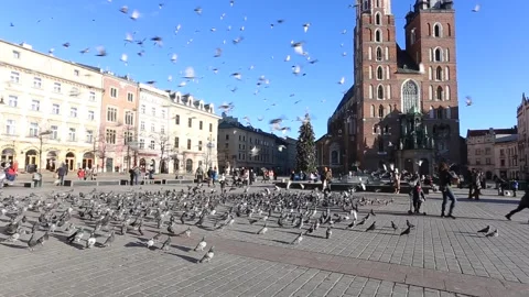 Flock of pigeons flying over Main Market Square.MVI 4262 库存影片 146131936