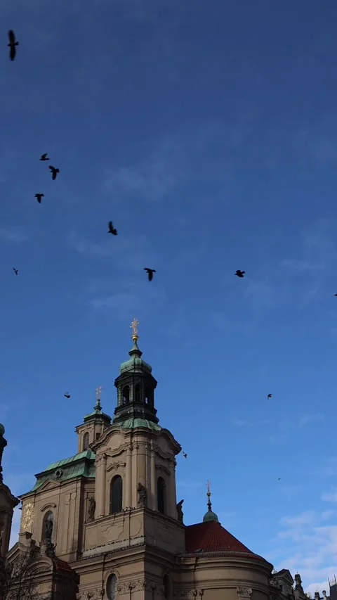 Flock of pigeons flying over old cinematic city under blue sky Stock Footage 326194322