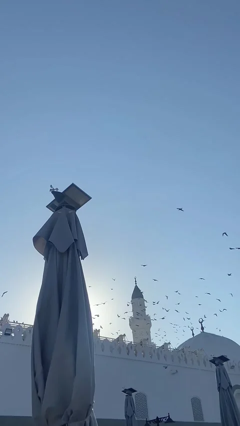 Flock of Pigeons Flying Over Quba Mosque in Madinah Clear Sky Stock Footage 310250086