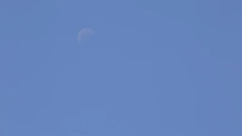 Flock Of Pigeons In The Sky Vidéo 89575541