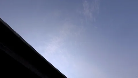 Flock Of Pigeons In The Sky Stockbeeldmateriaal 89575543