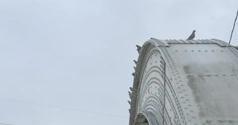 Flock of pigeons taking off from top of a bridge 4K Stock Footage 58557873