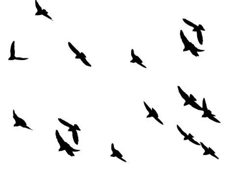 Flock of pigeons on a white background Stock Illustration