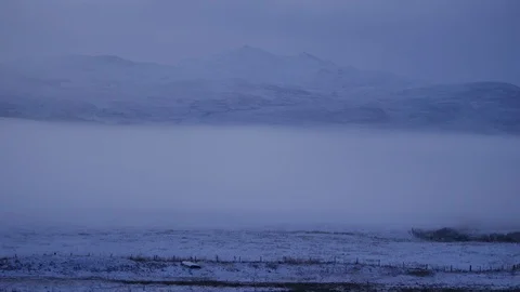 Flock of Rooks Kyle of Sutherland Scotland UK Stock Footage 101678520