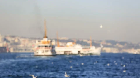 Flock seagull with passenger ship Stock Footage 35871094