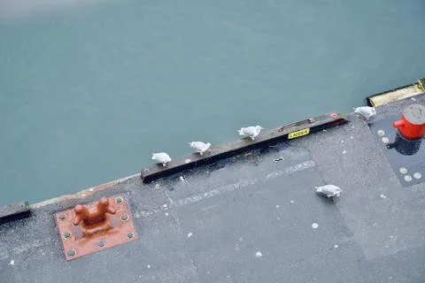 A flock of Seagull Stock Photos