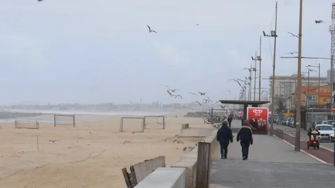 Flock of seagulls fly over ocean and beach in boardwalk in Espinho, Portugal Stock Footage 107195801