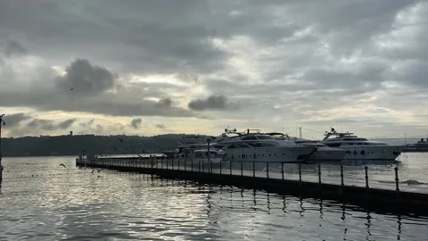 Flock of seagulls flying around the dock of Bosphorus on a cloudy day Stock Footage 143274543