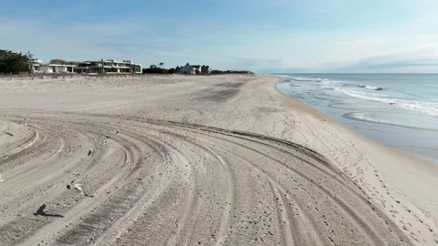 Flock of Seagulls Flying By on a Beach Stock Footage 271141418