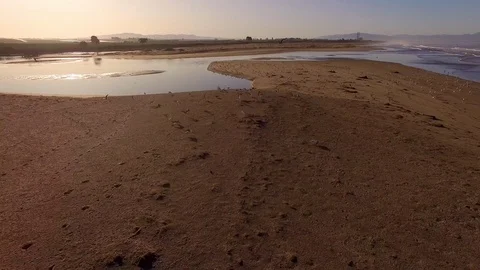 Flock of Seagulls Flying over the Beach Early Morning 2 4K Stock Footage 116516953