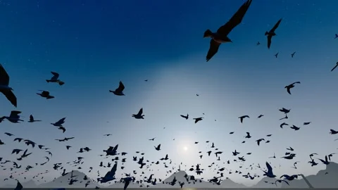 Flock of seagulls flying over calm sea Stock Footage 307163994