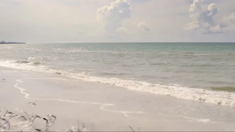 Flock of seagulls flying over a sandy ocean beach Stock Footage 334979539