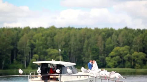 Flock of seagulls on pier smoothly sailing  luxury white yacht with newlyweds Stock Footage 68427314