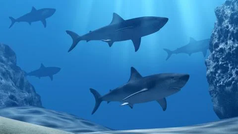 Flock of sharks underwater with sun rays and stones in deep blue sea Stock Illustration