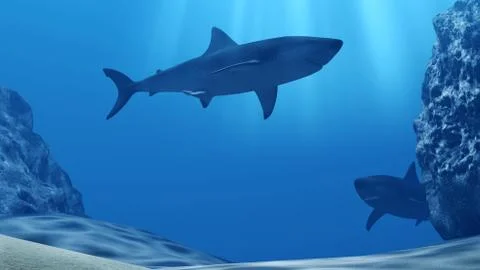 Flock of sharks underwater with sun rays and stones in deep blue sea Stock Illustration