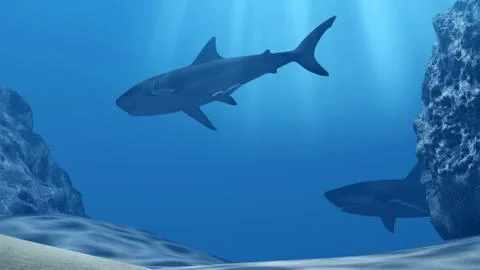 Flock of sharks underwater with sun rays and stones in deep blue sea Stock Illustration
