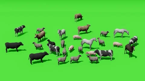 Flock of Sheep and Goats Stylized Farm Scene on Green Video stock 312972945
