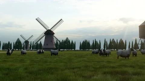 Flock of sheep in the field in front of windmill and tank tower Stock Footage 223610791